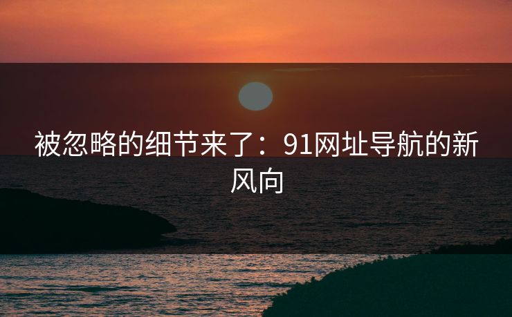 被忽略的细节来了:91网址导航的新风向 被忽略的细节来了:91网址导航的新风向